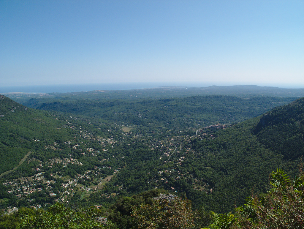 https://www.respelido.co.uk/wp-content/uploads/2016/10/bar-sur-loup-photo-tredok.jpg